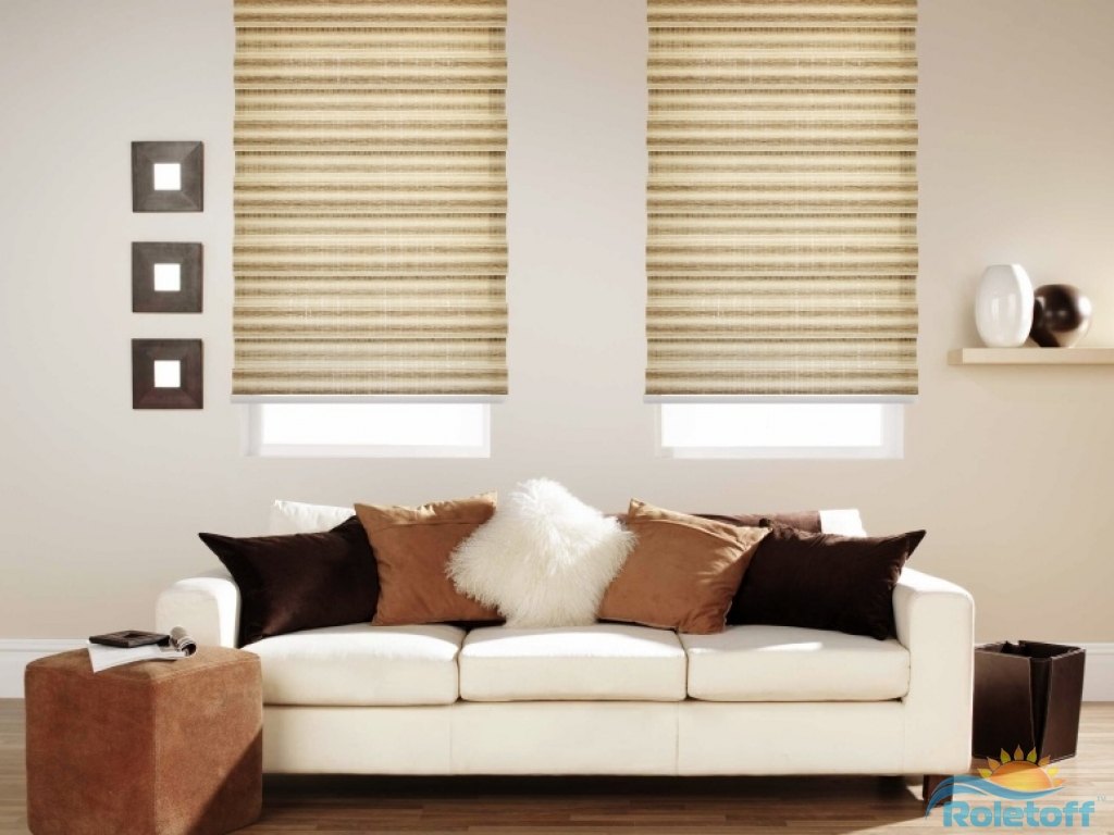 Cozy living room with beige cellular shades covering two windows.