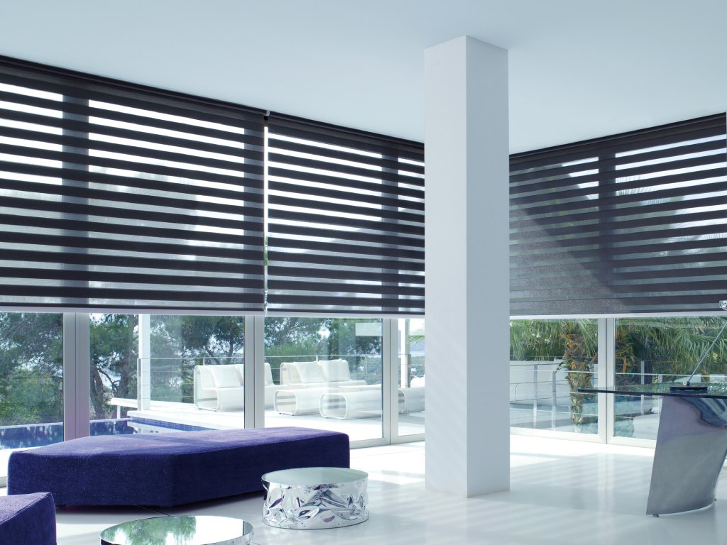 Modern living room with dual roller shades providing a view of the outdoors.