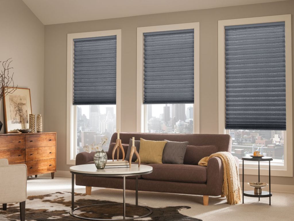 Living room with gray cellular shades covering the windows.